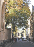 Oxford street next to college with tree