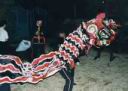 Lion Dance - Chinese New Year 2002