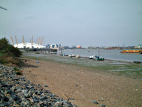 image: Greenwich Peninsula Ecology Park