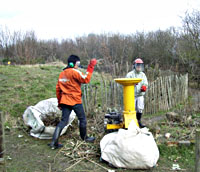 image: scrub bashing