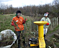 image: scrub bashing