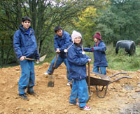 preparing the ground