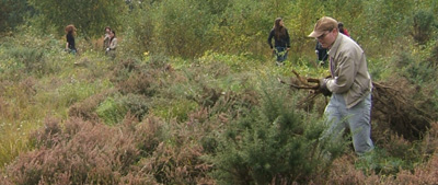 Scrub bashing on Padworth Common Berkshire