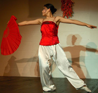 Performers at the new year celebrations