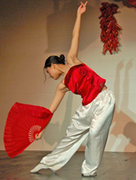 Performers at the new year celebrations