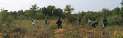 Scrub bashing on Padworth Common Berkshire