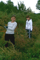 Scrub bashing on Padworth Common Berkshire