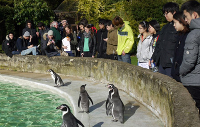 St. Clare's Oxford - Cotswold Wildlife Park