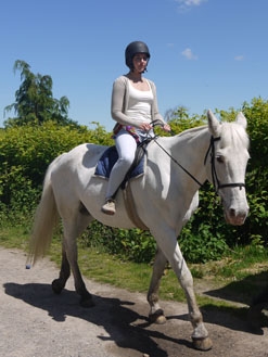 Horse riding in the New Forest