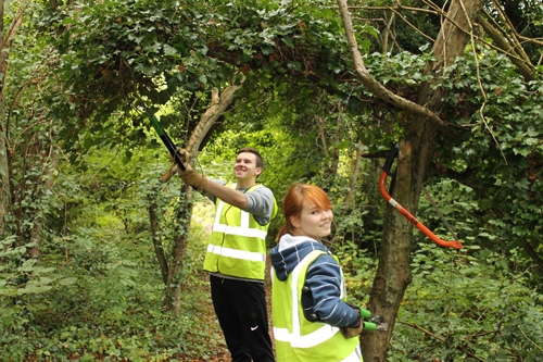 Helping to clear protected Woodland in North Hinksey