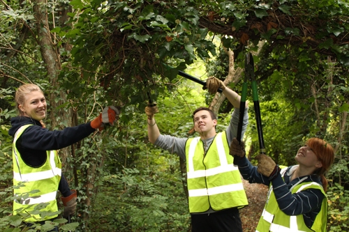 Helping the North Hinksey Conservation Volunteers