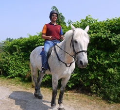 Horse riding in the New Forest - St. Clare's, Oxford