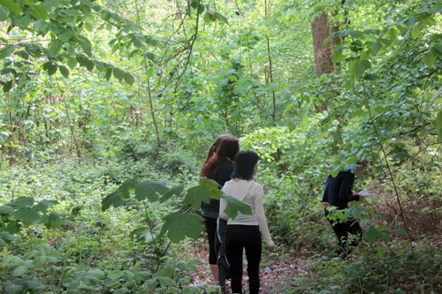 Orienteering in Oxford's woods