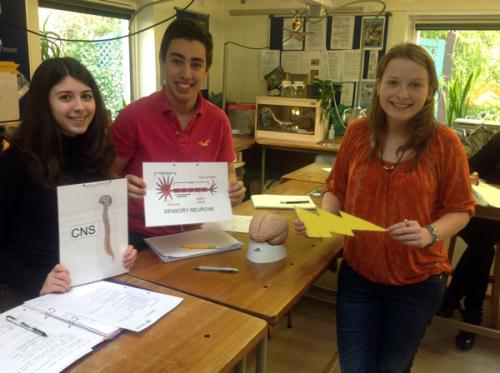 Studying neuroscience at St. Clare's, Oxford