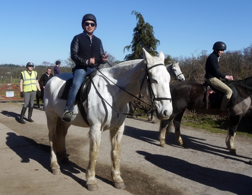 International Students enjoy Horse Riding in the New Forest