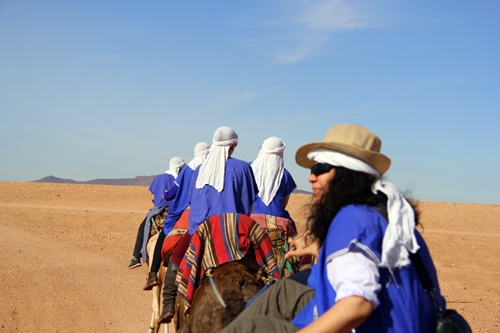 Camel rides in Marrakech - St. Clare's, Oxford