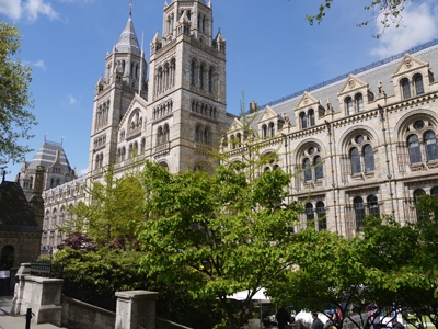 London's Natural History Museum