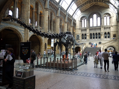 A trip to The National History Museum