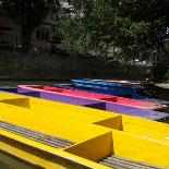 St Clare's students punting on the River Thames