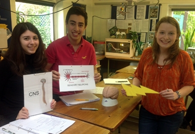 Studying neuroscience at St. Clare's, Oxford