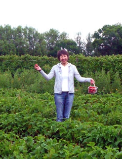 Strawberry picking - St. Clare's, Oxford