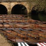 St Clare's students punting on the River Thames