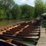 St Clare's students punting on the River Thames