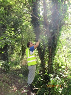 St. Clare's students recently helped the North Hinksey Conservation Volunteers