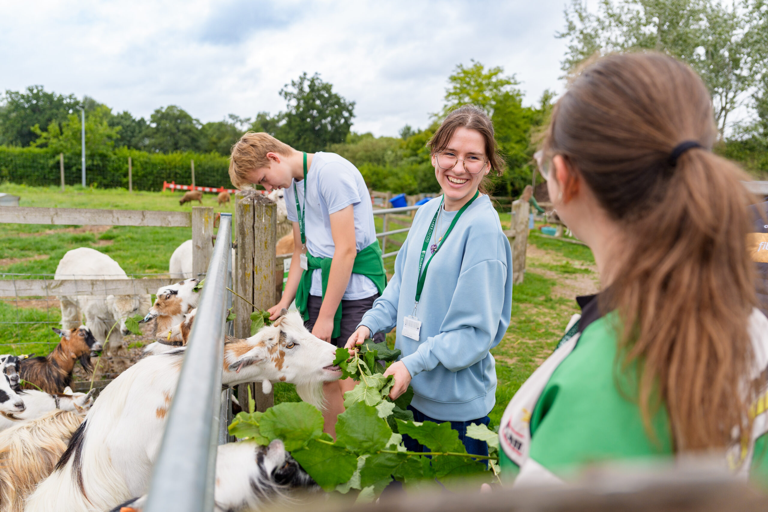 Introducing Summer Teenagers: Merrist Wood – new for 2026