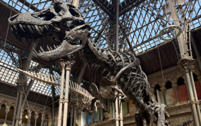 Hear from our Students: More Than Just Objects – A TOK Journey Through Oxford’s Museums